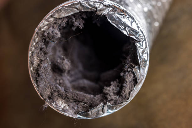 Best Ventilation Cleaning Services  in Dawson, MN